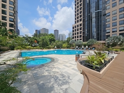 Four Seasons Park (D10), Condominium #447140111